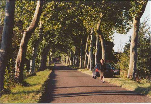 Die Stra�e nach Lannepax